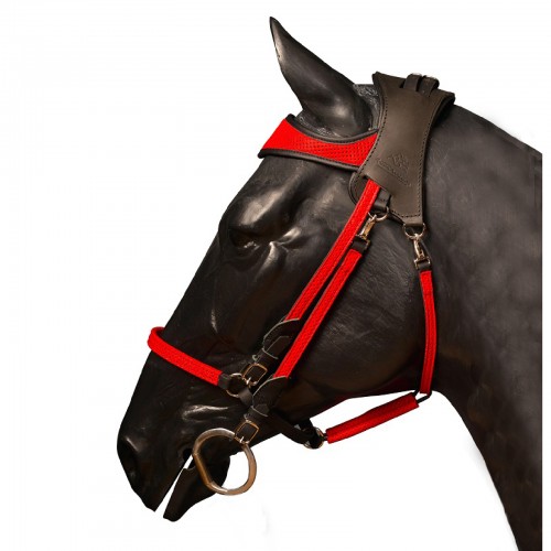 Bridon licol ergonomique pour l'équitation  - Sellerie Gaston Mercier