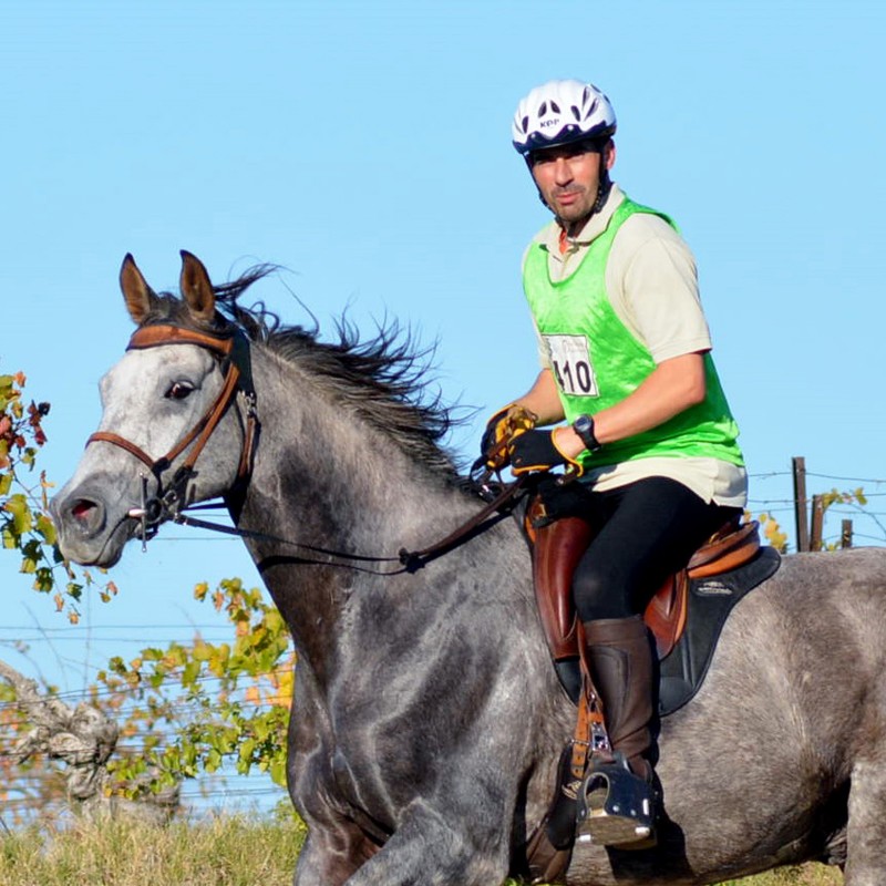 Bridon simple ergonomique pour l'équitation  - Sellerie Gaston Mercier