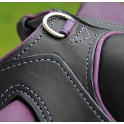 Demo Compiègne Saddle