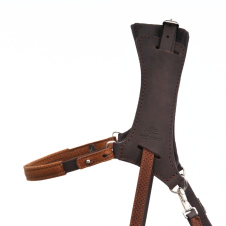 Side-pull - frontal et têtière réglable