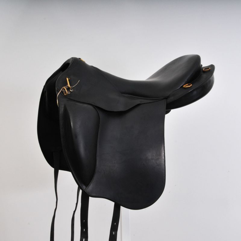 copy ofMarathippo de 2015