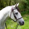 copy of Ergonomic Halter bridle