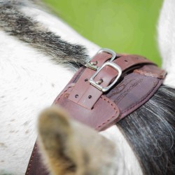 copy of Ergonomic Halter bridle