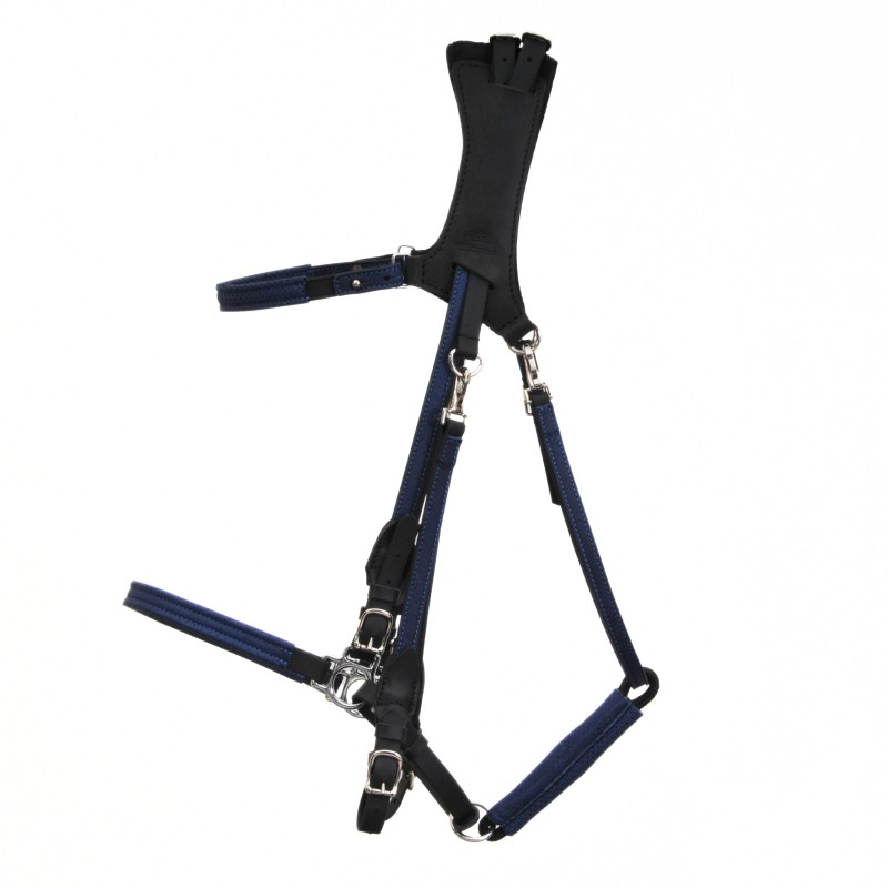 copy of Ergonomic Halter bridle