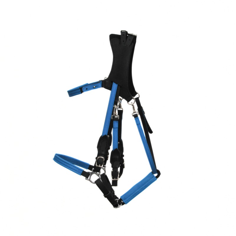 Bridon Licol ergonomique TURQUOISE