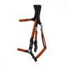 copy of Ergonomic Halter bridle