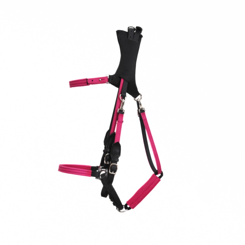 copy of Ergonomic Halter bridle