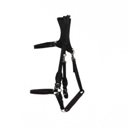 copy of Ergonomic Halter bridle