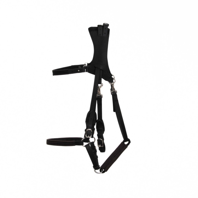 copy of Ergonomic Halter bridle