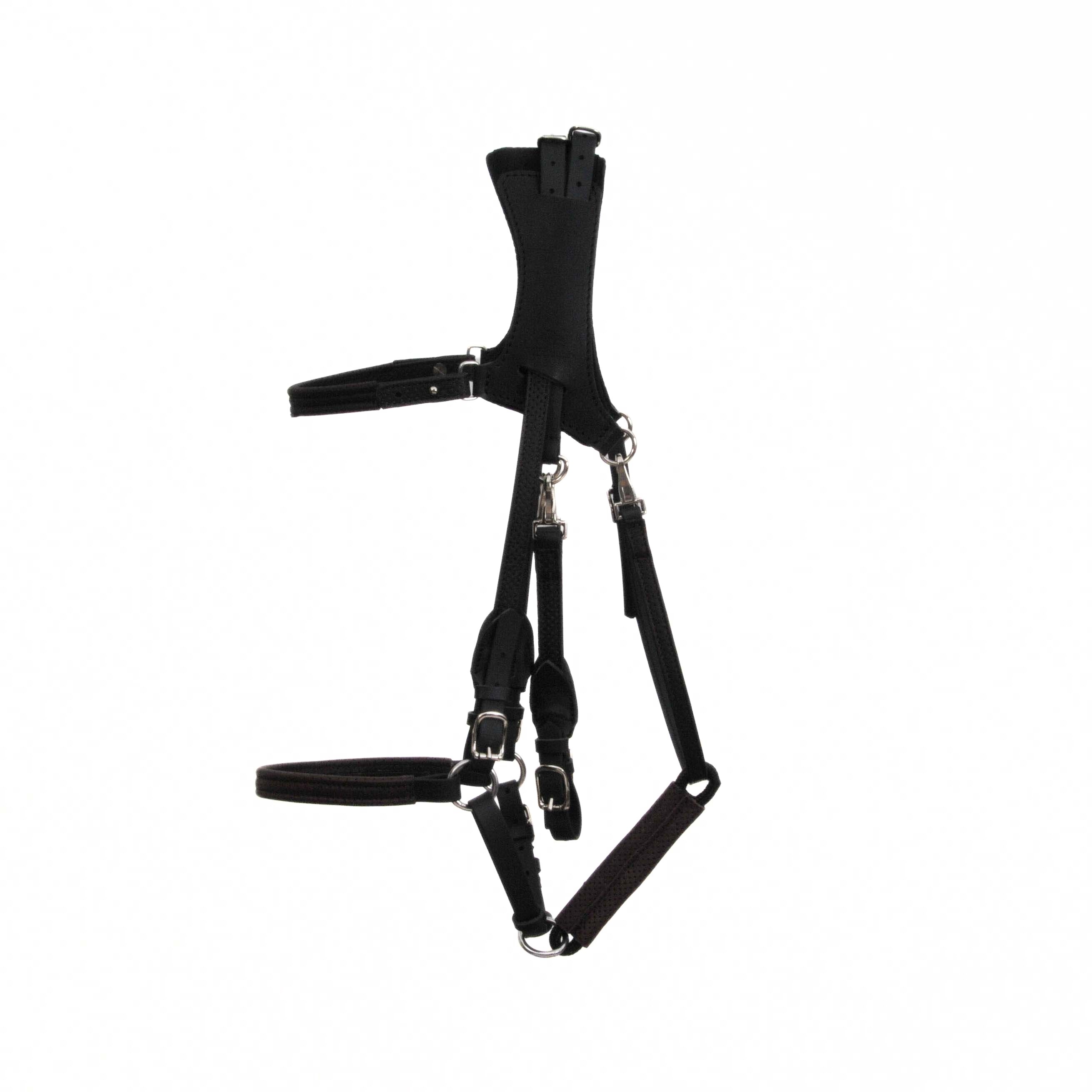 copy of Ergonomic Halter bridle