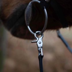 Rênes cuir perforé doublé biothane