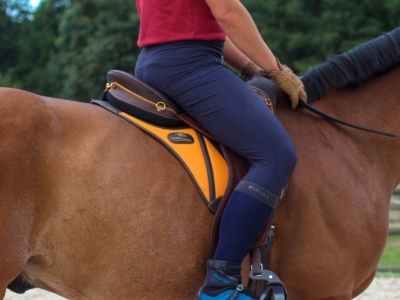 Press review “Blog Horsyklop” … Crash test of the saddle Margeride !!